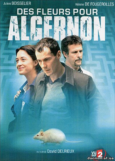 Цветы для Алджернона / Des Fleurs Pour Algernon (2006) DVDRip